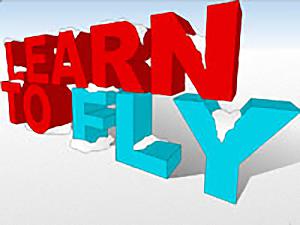 Learn to Fly